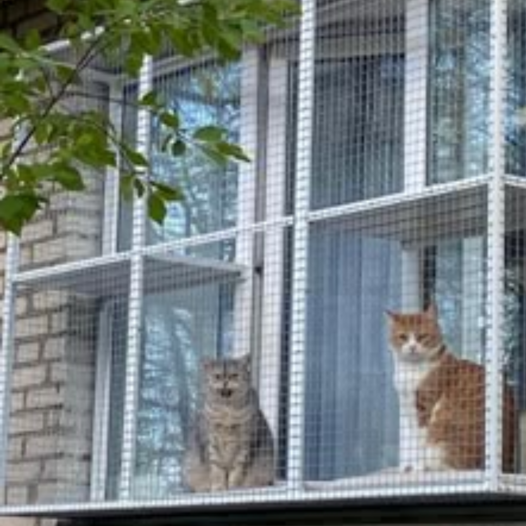 María Fernanda, Luque