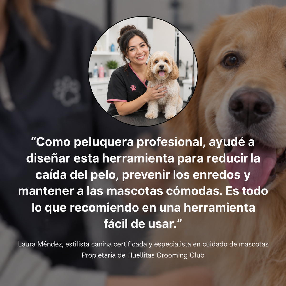 Peine Deslanador Profesional
